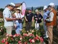 Concours_International_Rose_Nouvelle_Nyon_17_6_2023_2330