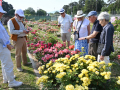 Concours_International_Rose_Nouvelle_Nyon_17_6_2023_2349