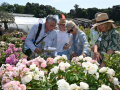 Concours_International_Rose_Nouvelle_Nyon_17_6_2023_2446