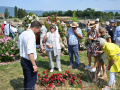 Concours_International_Rose_Nouvelle_Nyon_17_6_2023_2491